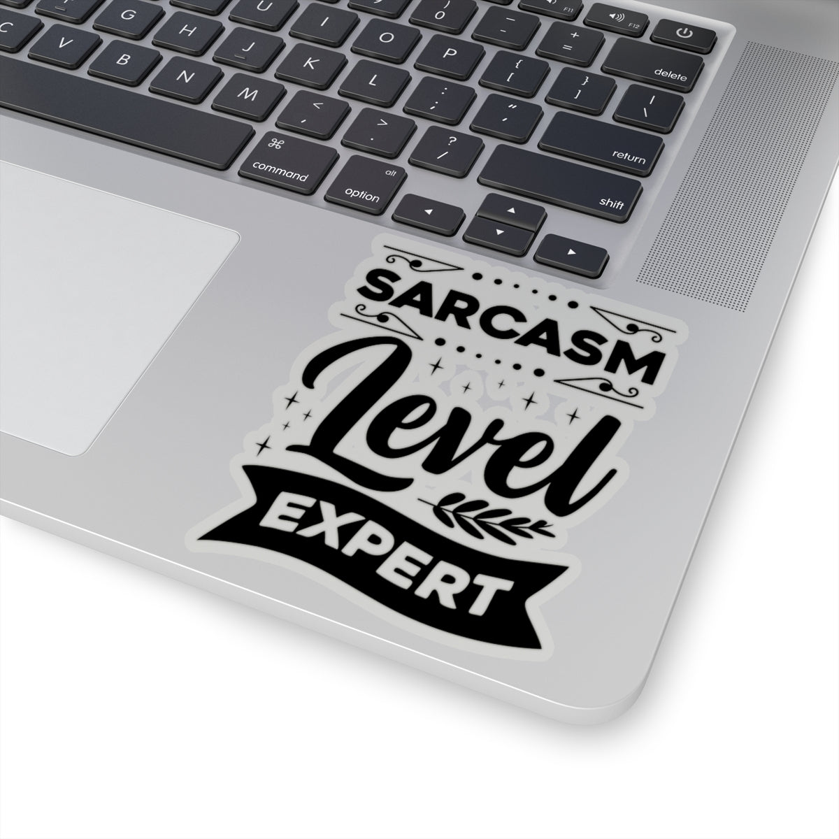 Sarcasm Level Expert Kiss-Cut Stickers